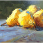 4 Pears | 8x14 by Kevin LePrince at LePrince Galleries