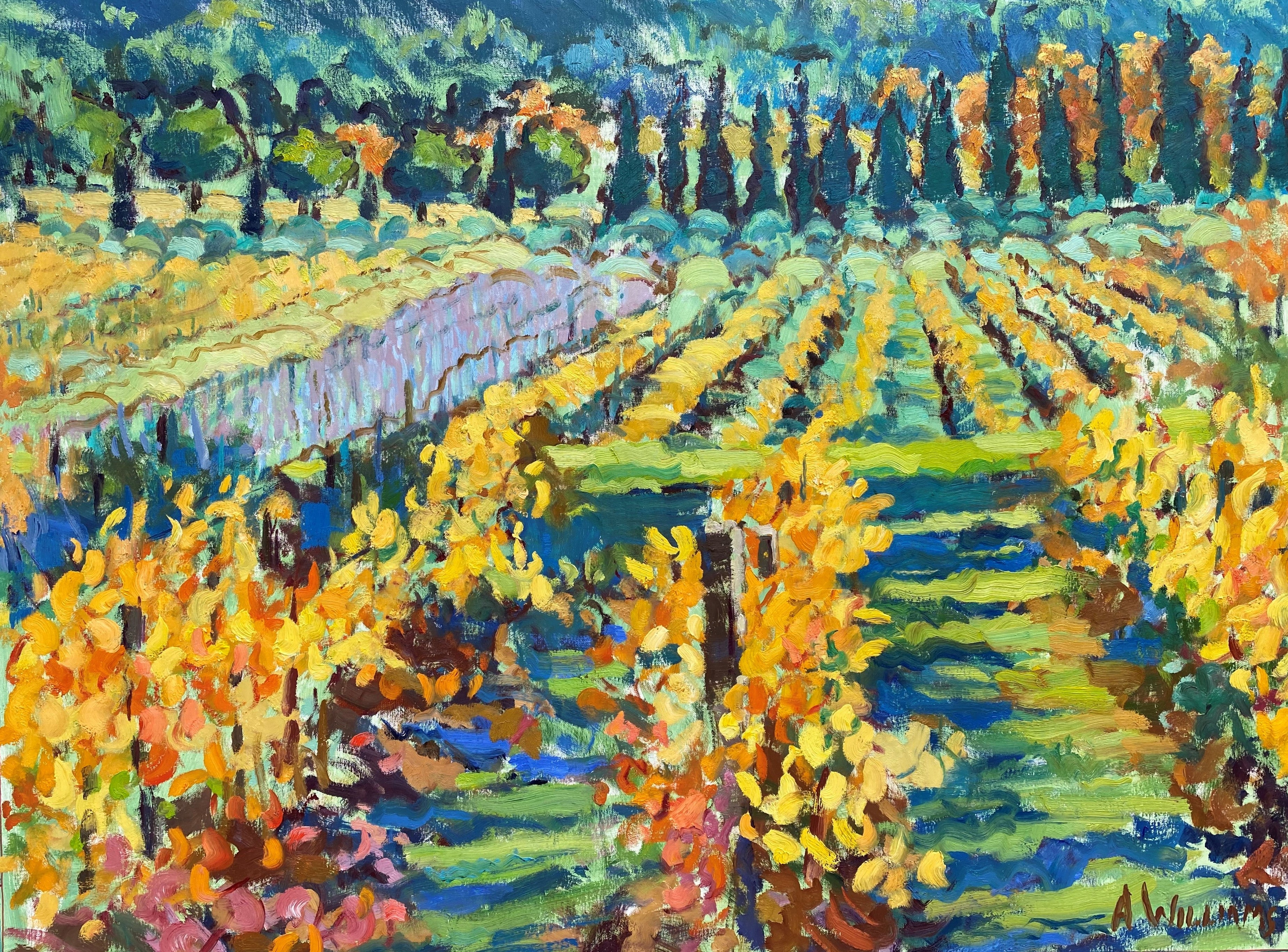 Autumn Vineyards in the Luberon