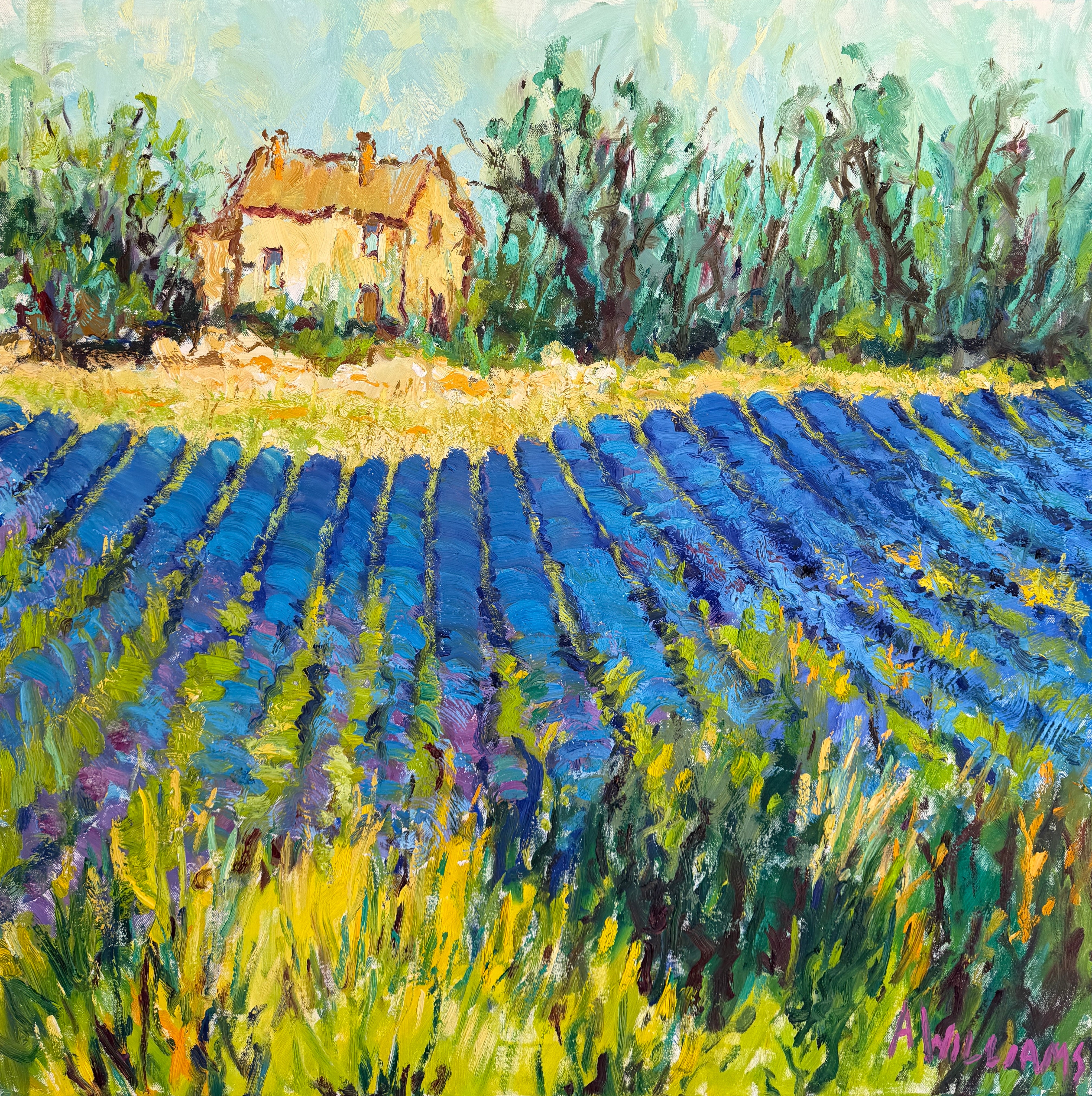 Un Champ de Lavande