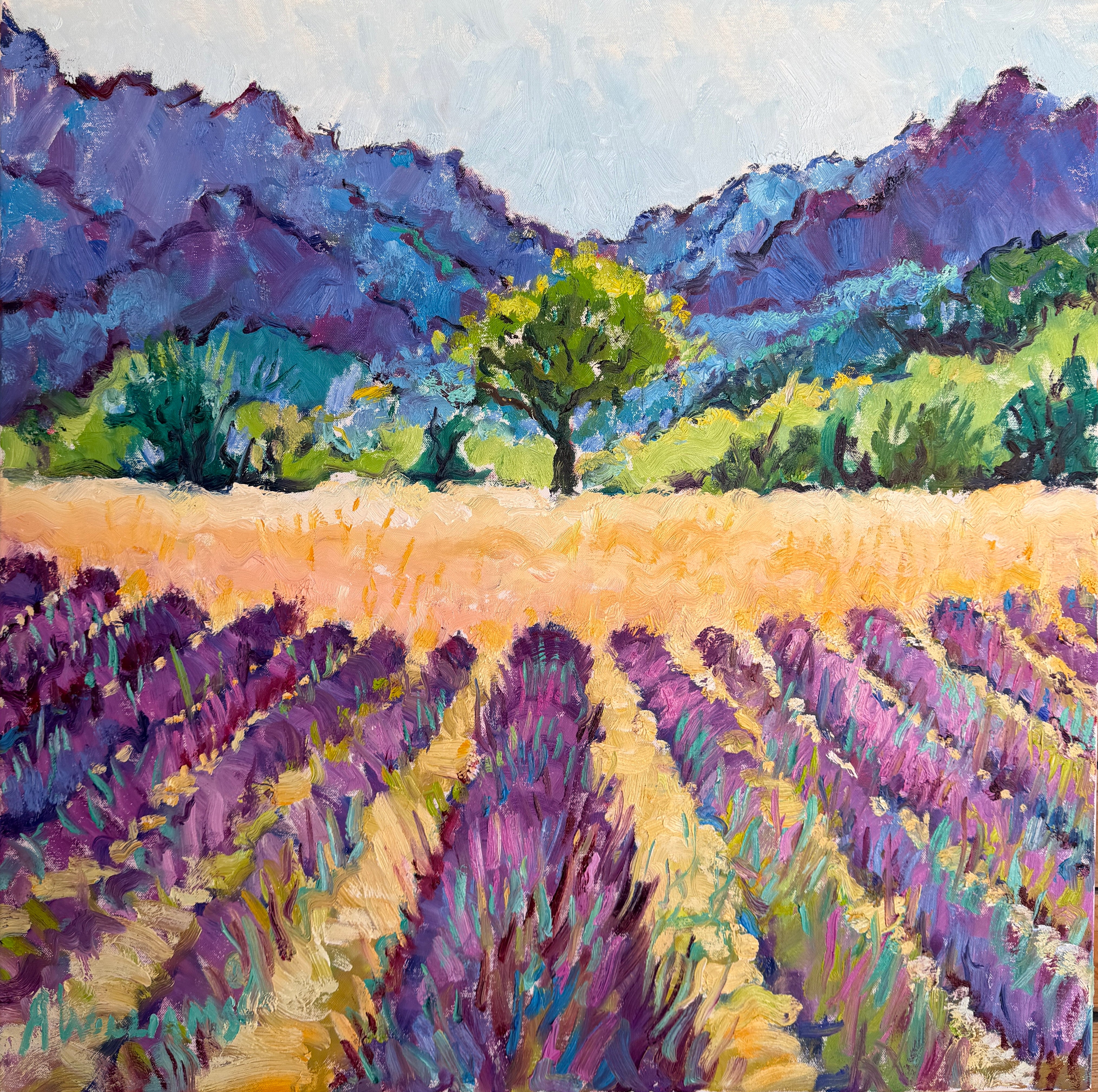 It's That Time Again in Provence