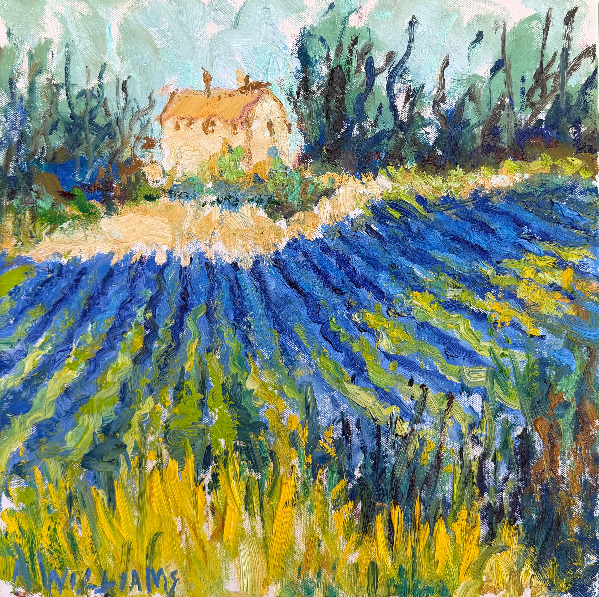 June in the Luberon