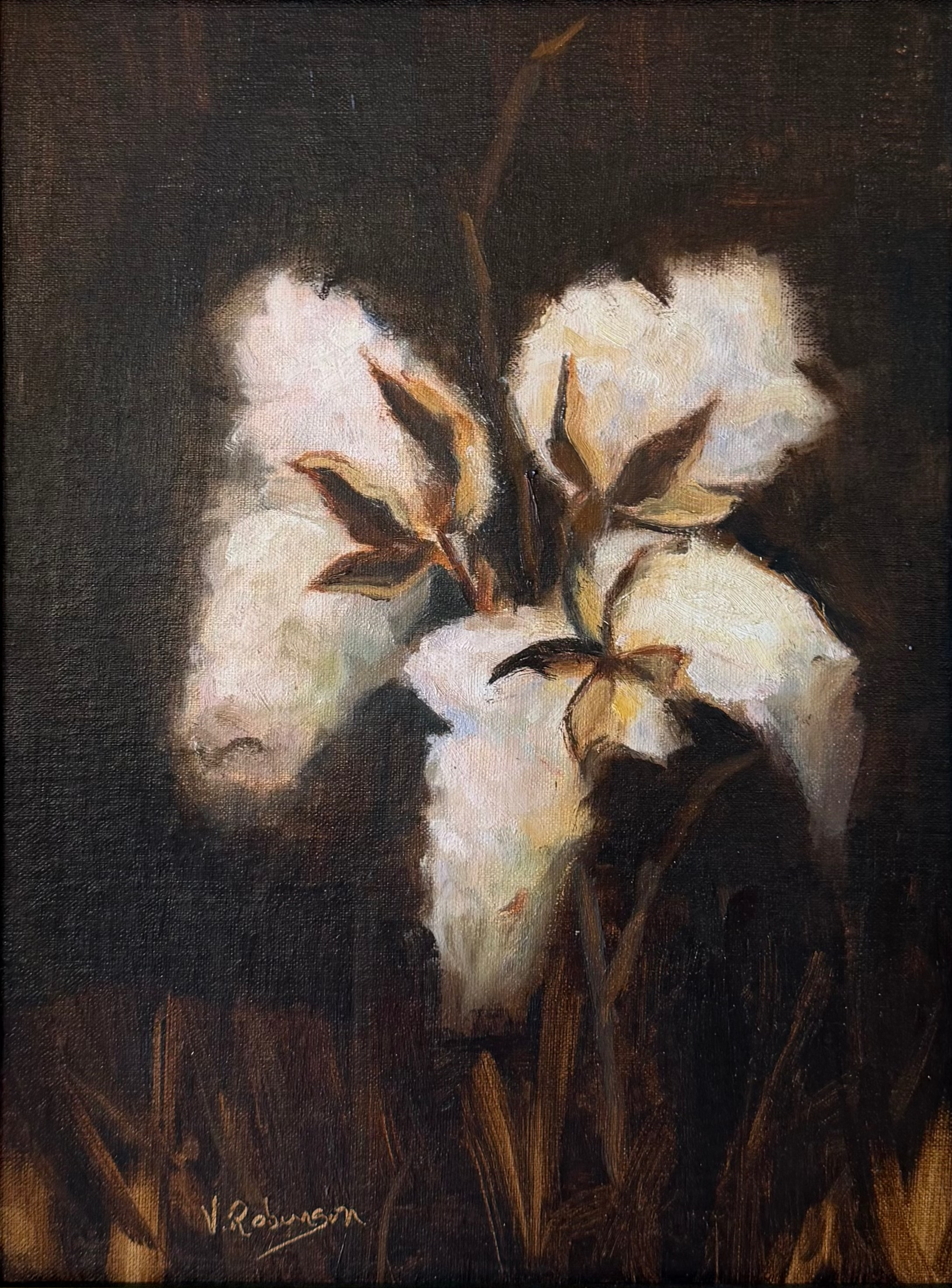 Cotton Bouquet