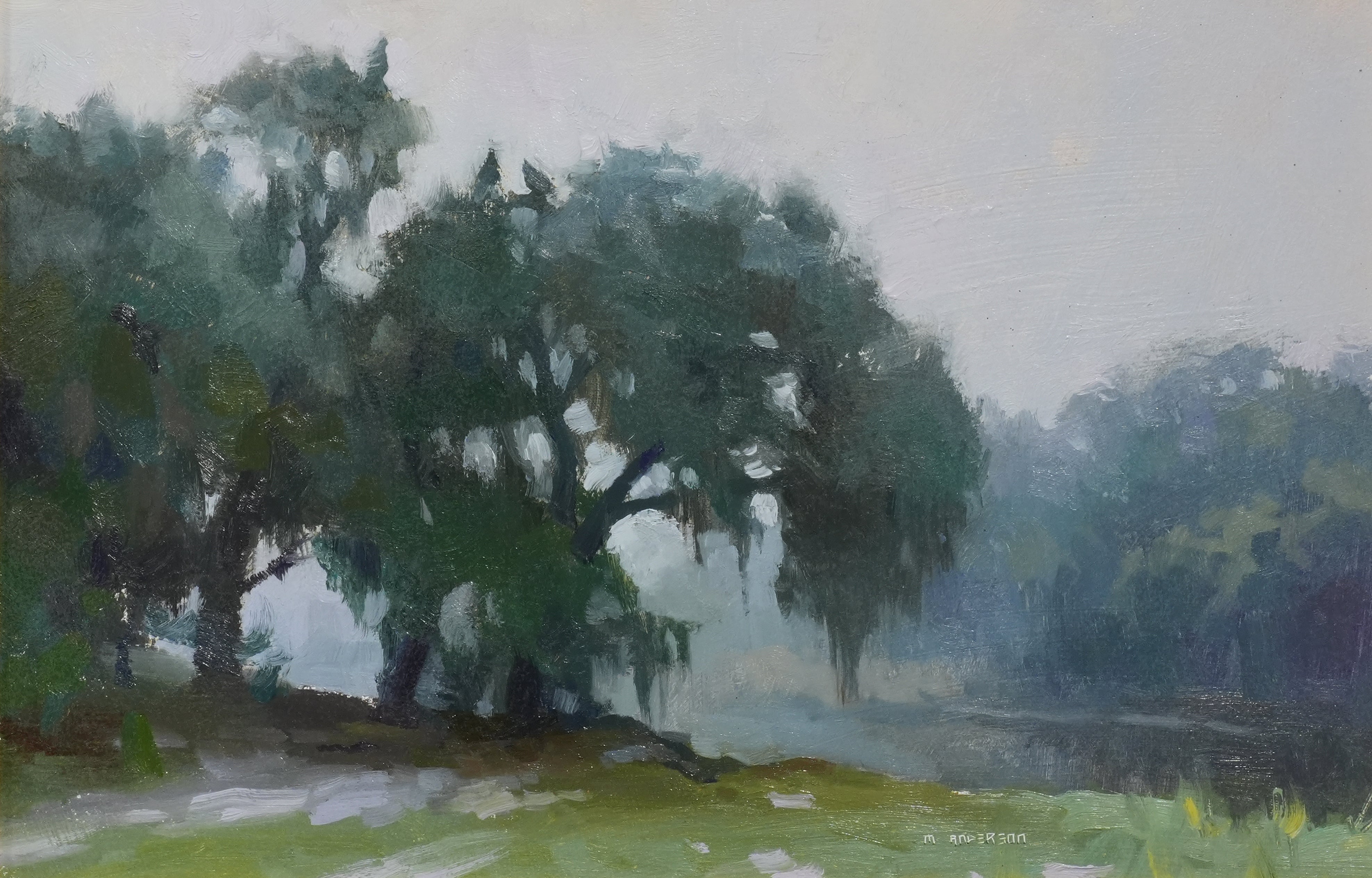 Foggy Oak, Study