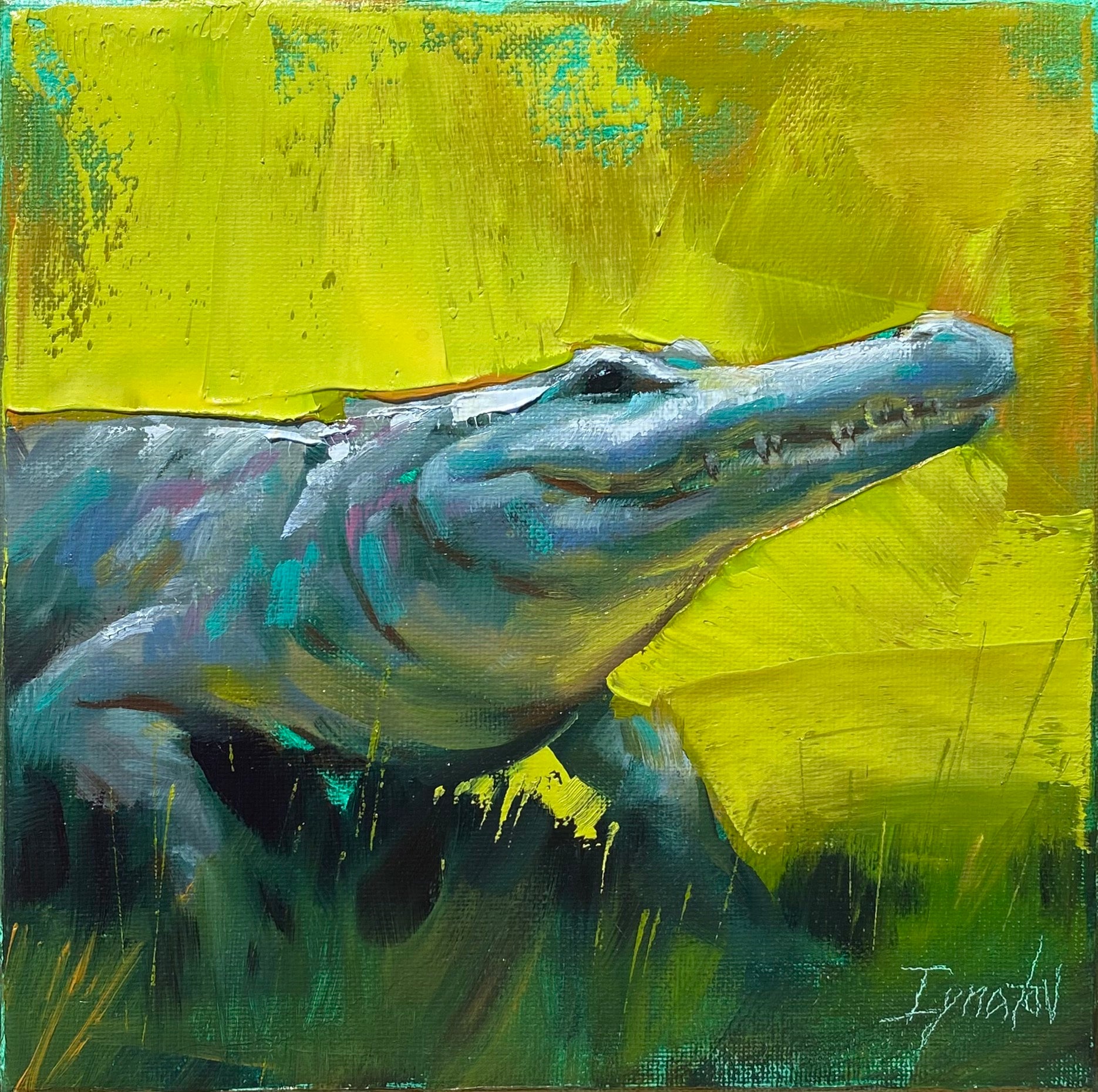 Lowcountry Resident