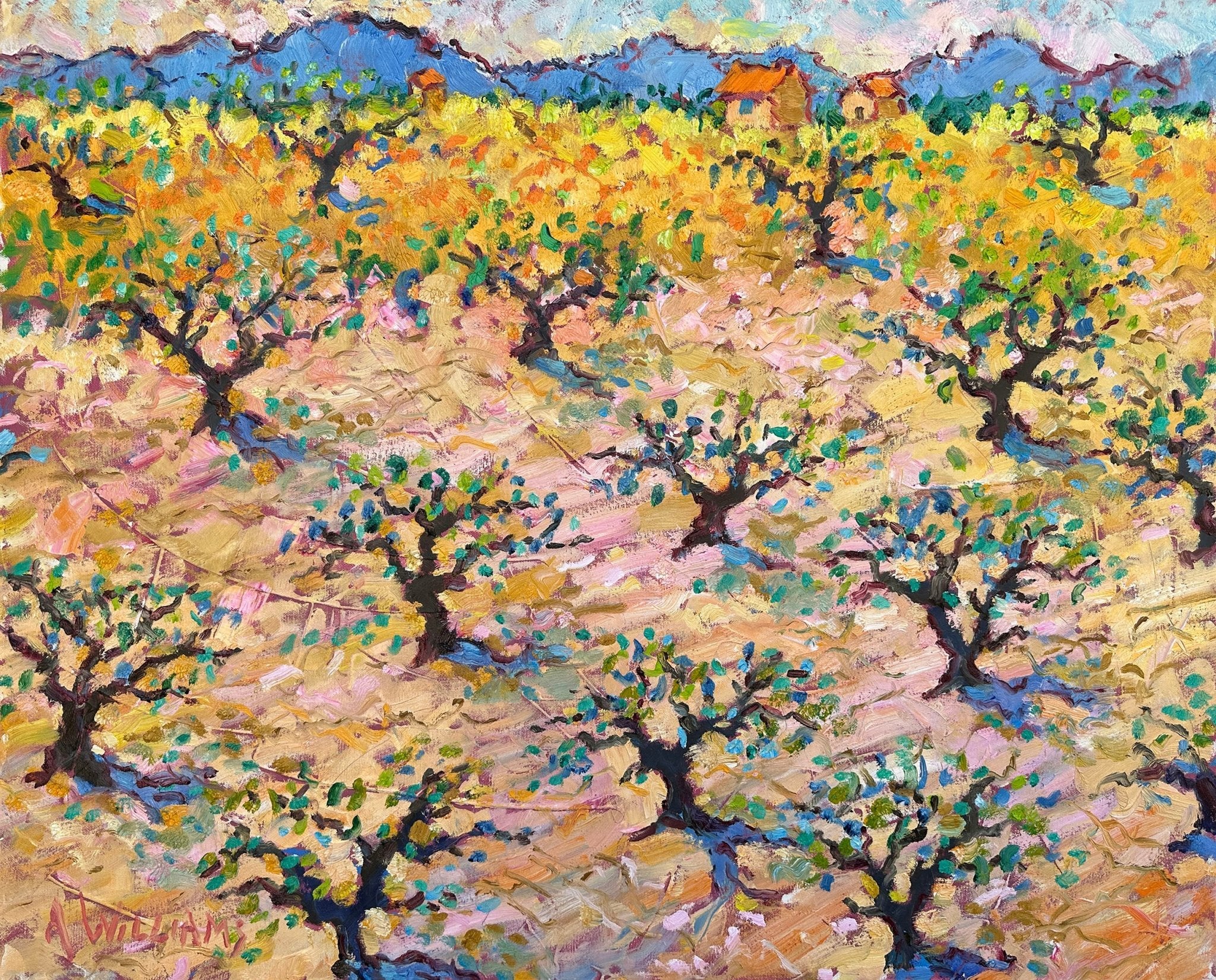 A Lourmarin Olive Grove by Alice Williams at LePrince Galleries