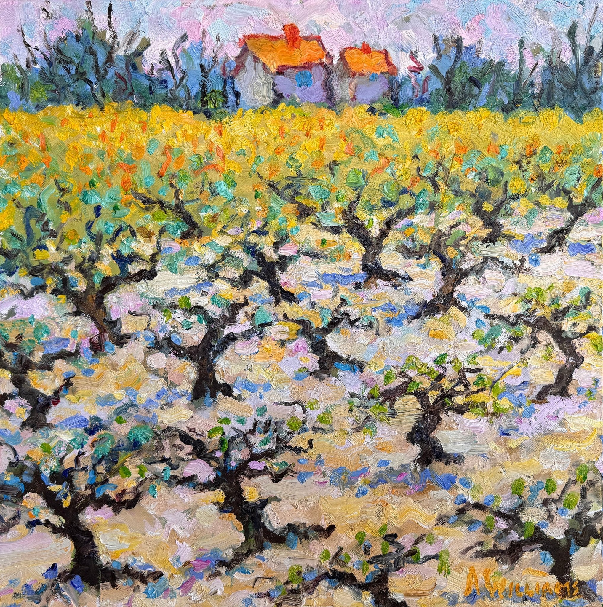 Luberon Olive Grove by Alice Williams at LePrince Galleries