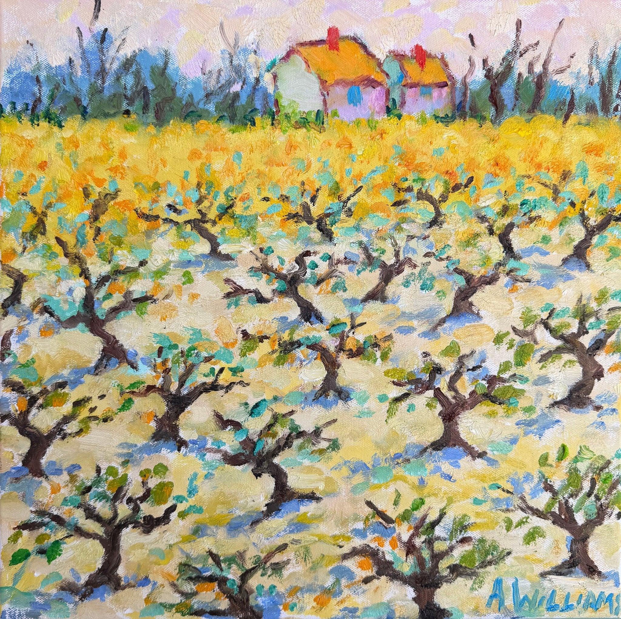 Olive Grove in the Luberon by Alice Williams at LePrince Galleries