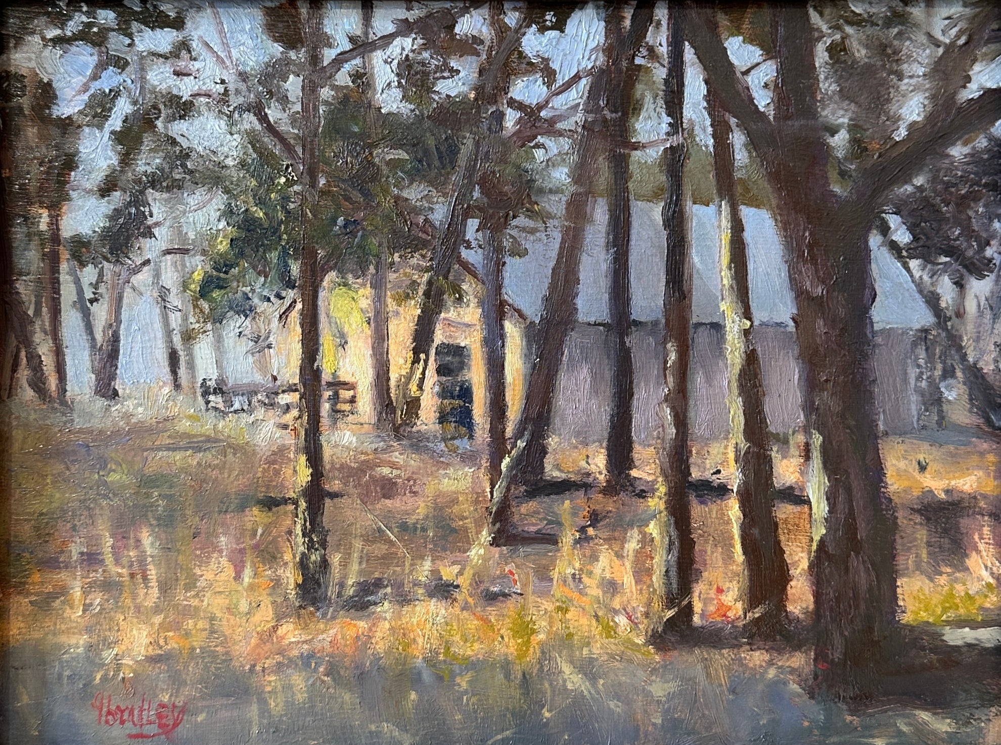 Light in the Pines by Gary Bradley at LePrince Galleries