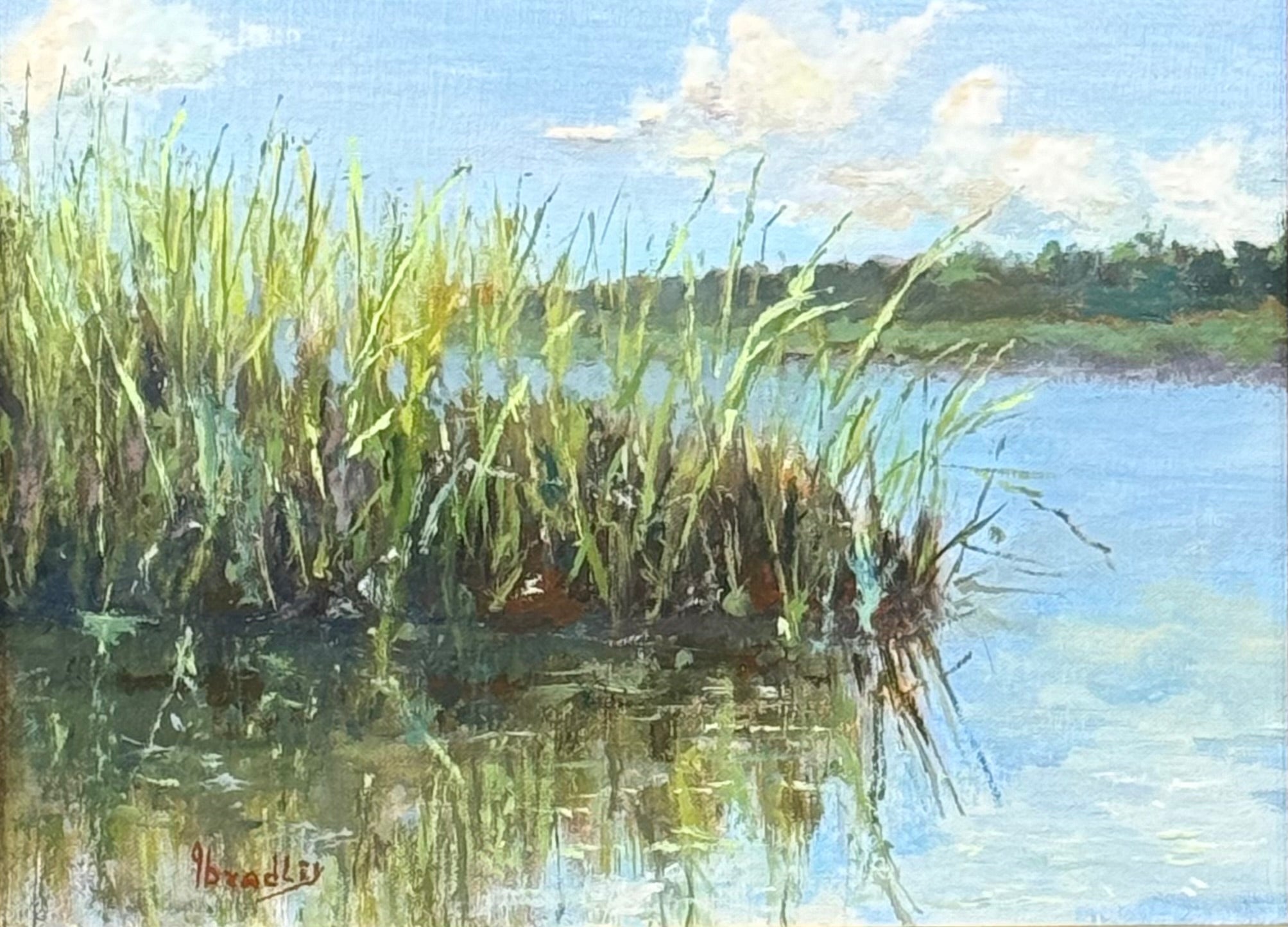 Spartina by Gary Bradley at LePrince Galleries