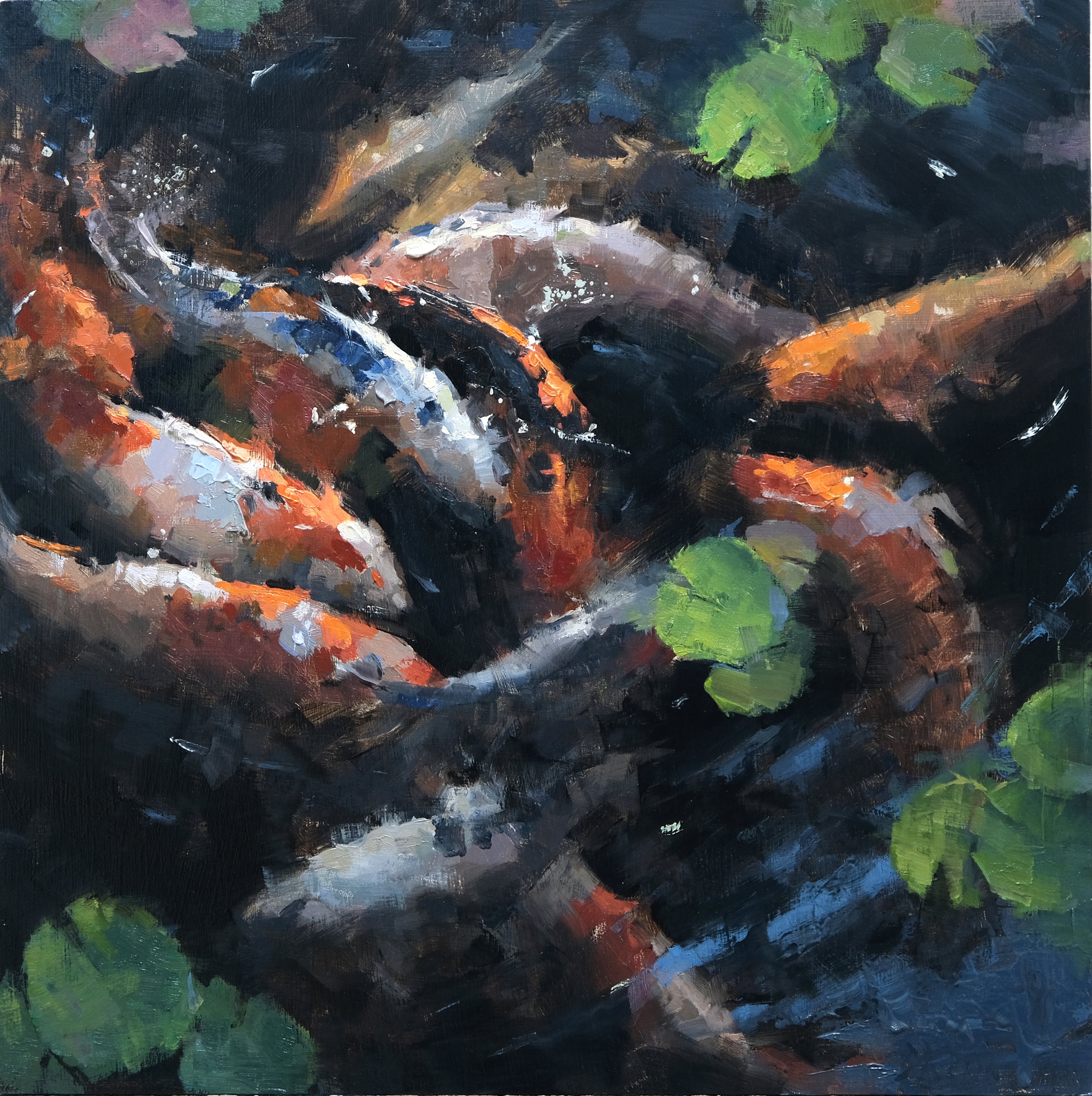 Koi Fish