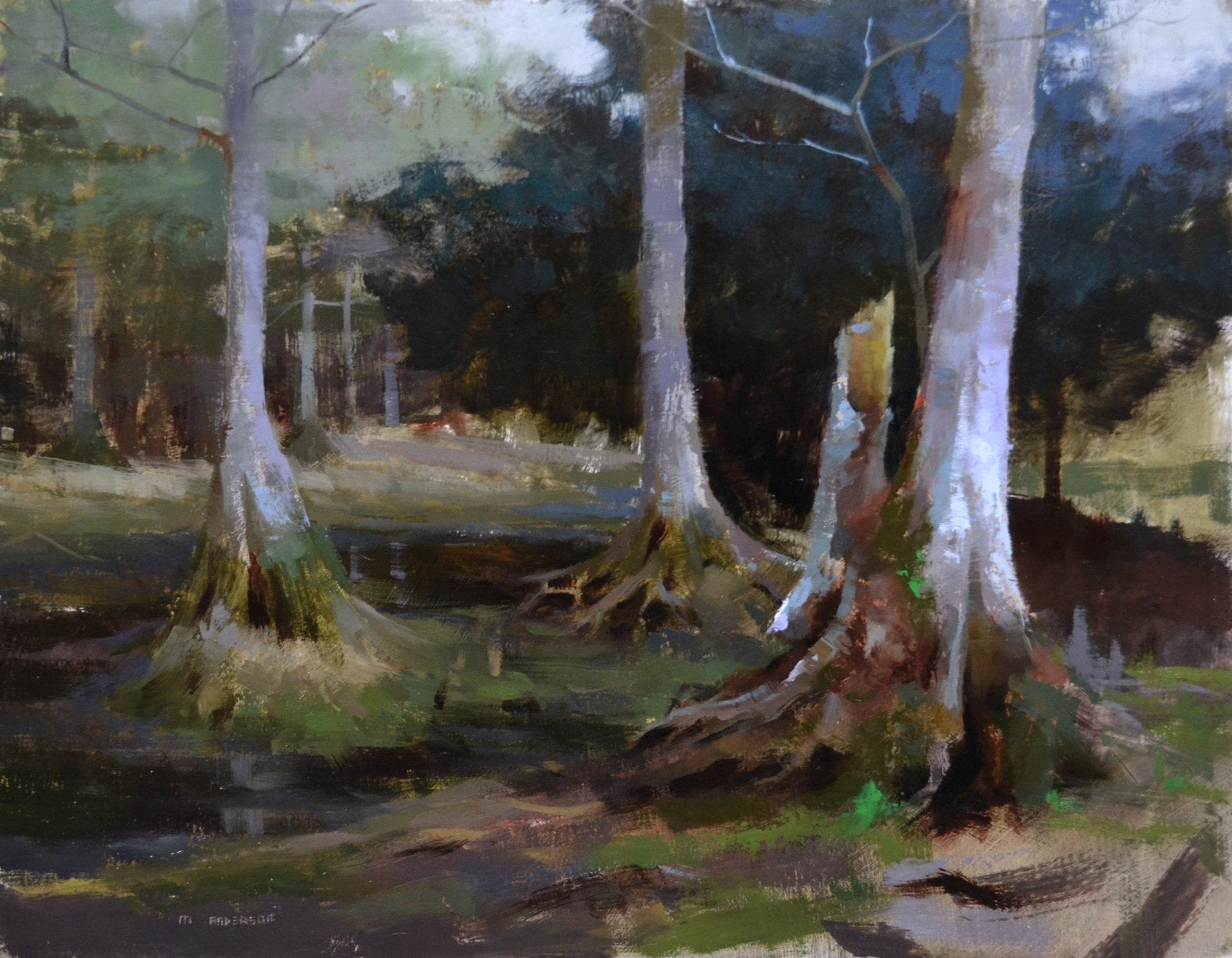 Amongst the Cypress by Marc Anderson at LePrince Galleries