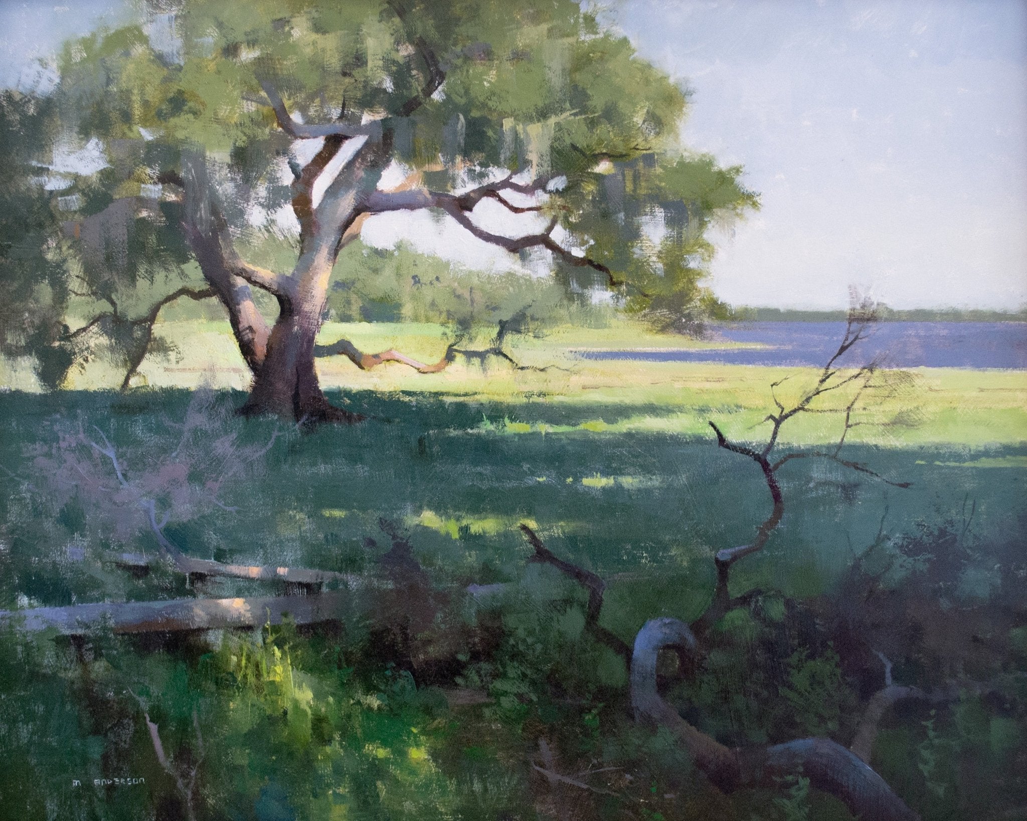 Rural Sprawl by Marc Anderson at LePrince Galleries