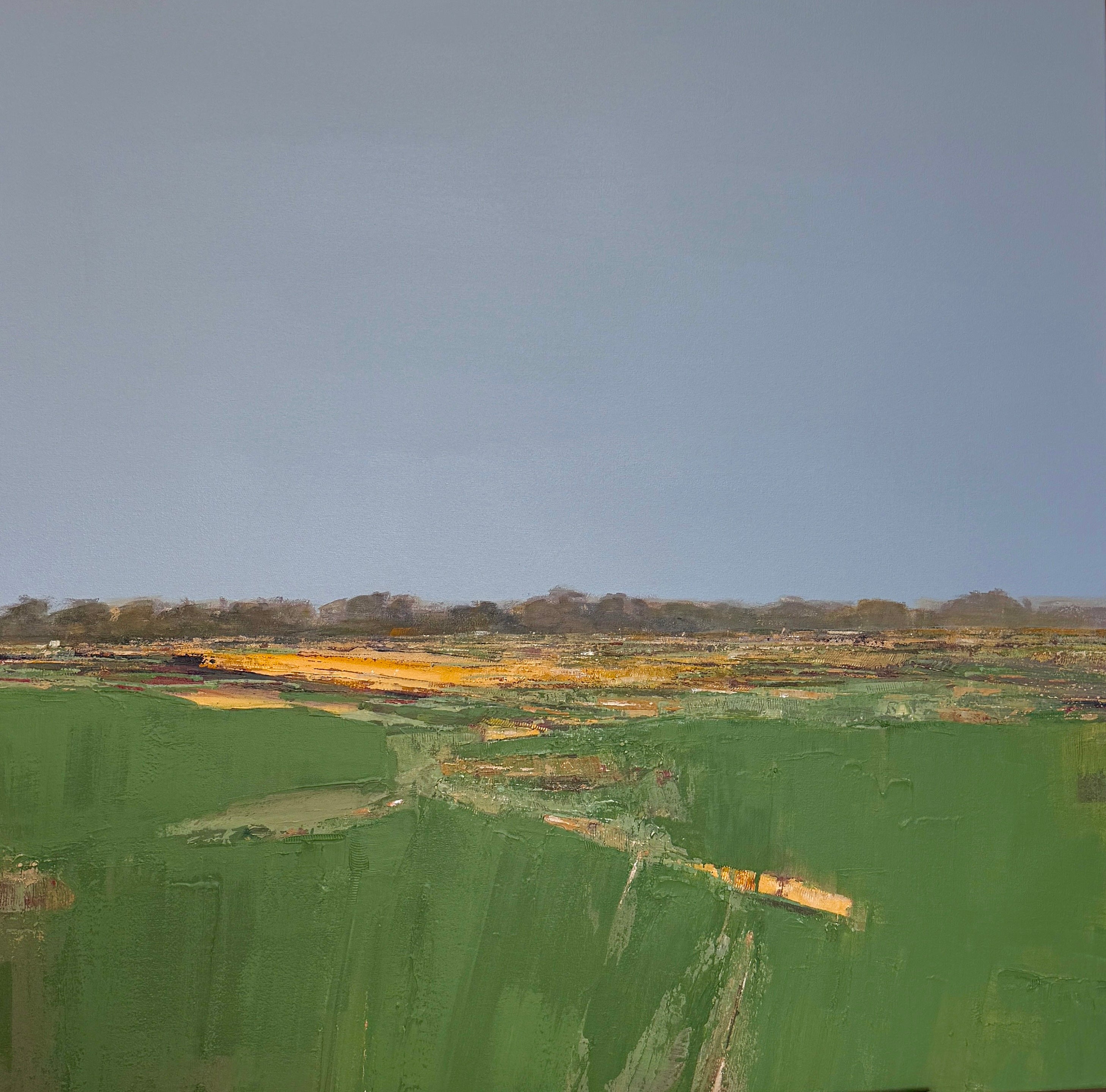 Sunlite Marsh at the Greenway