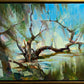 Lowcountry Trees by Ignat Ignatov at LePrince Galleries