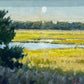 Marsh View by John Poon at LePrince Galleries