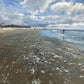 Shell Island by John Poon at LePrince Galleries