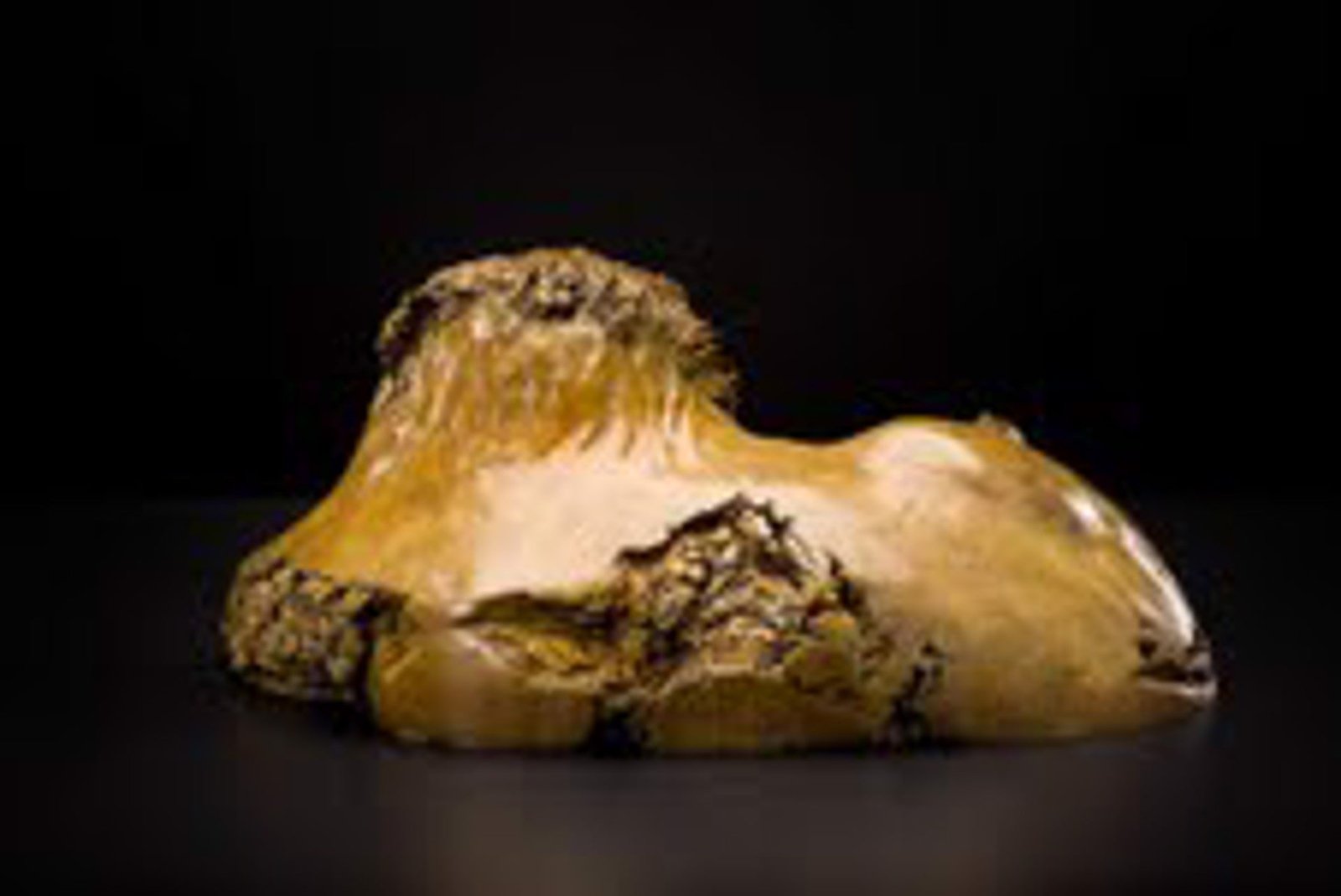 The Prince by Leo Osborne at LePrince Galleries