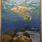 Snook on the Rocks by Marc Anderson at LePrince Galleries
