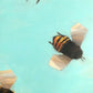 Bees 1-69 by Angie Renfro at LePrince Galleries
