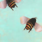 Bees 2-29 by Angie Renfro at LePrince Galleries