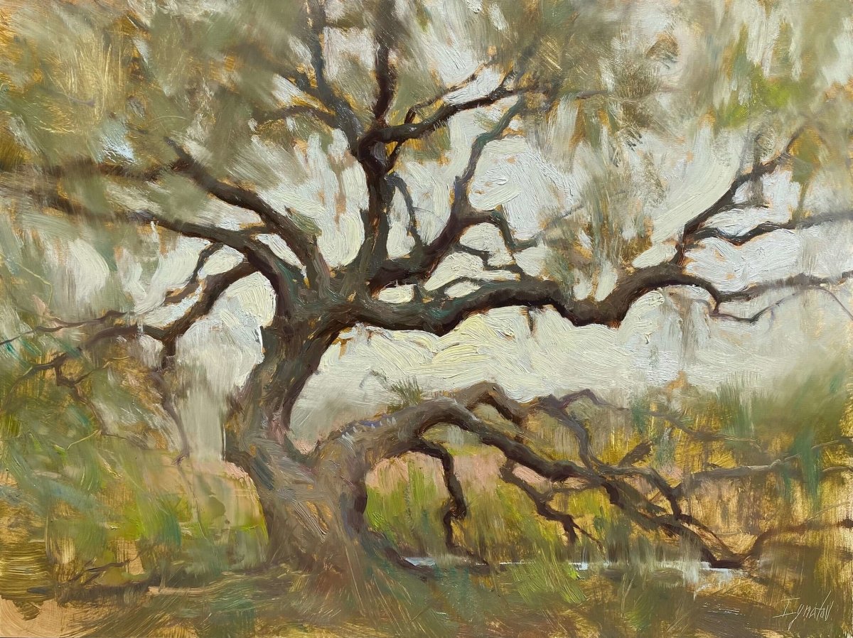 Lowcountry Oak by Ignat Ignatov at LePrince Galleries