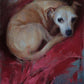 Princess by Ignat Ignatov at LePrince Galleries
