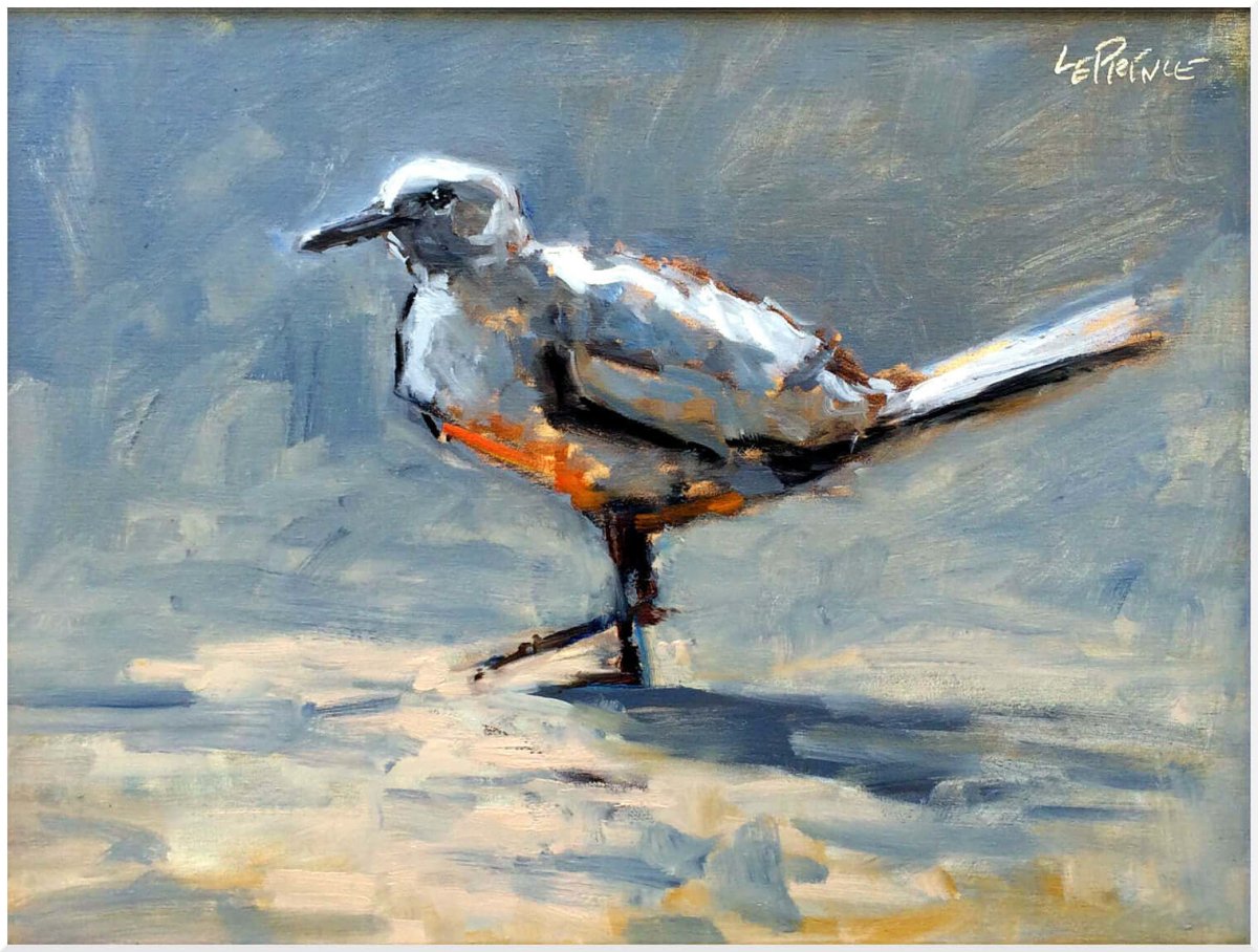 Gull Study by Kevin LePrince at LePrince Galleries