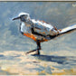 Gull Study by Kevin LePrince at LePrince Galleries