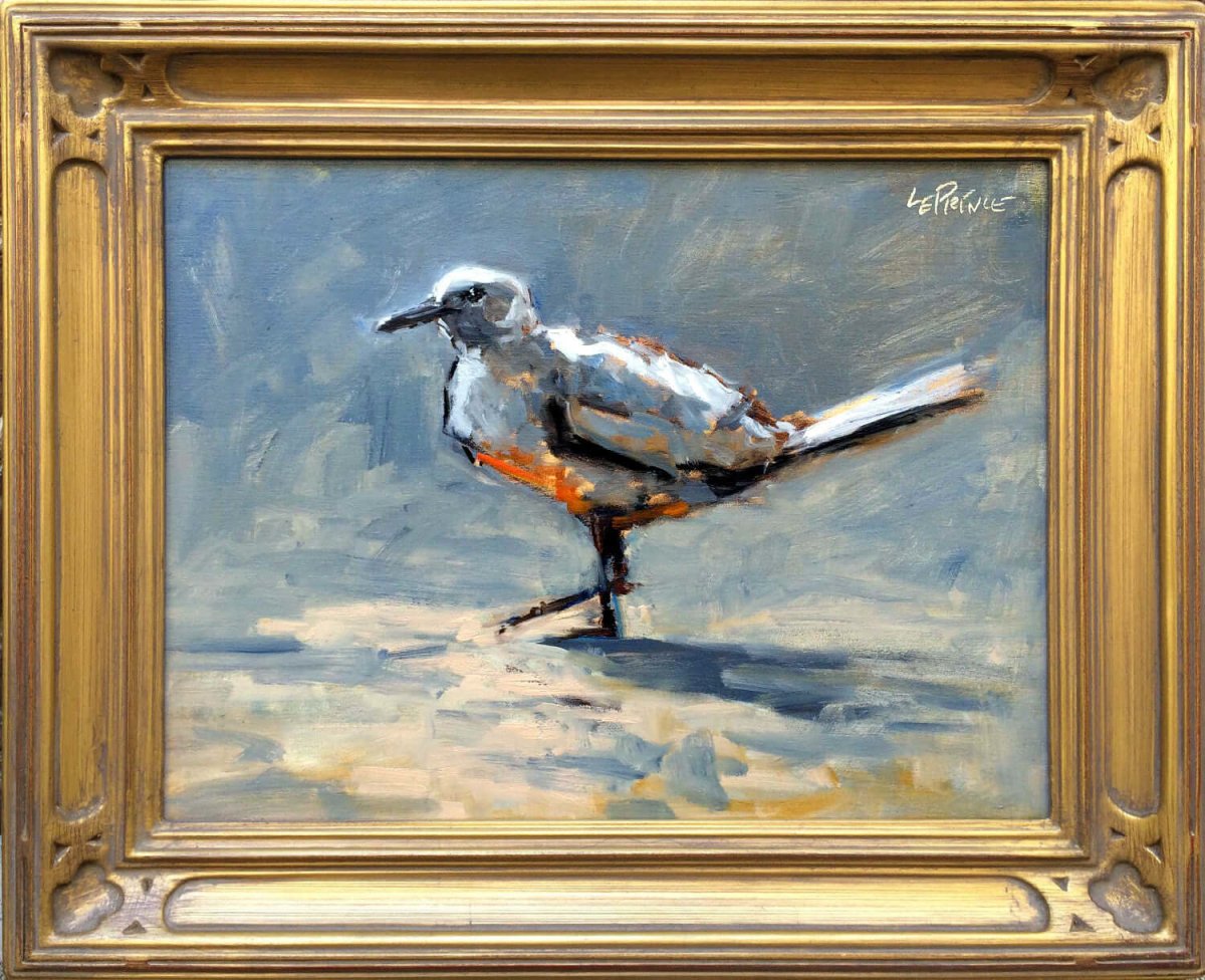 Gull Study by Kevin LePrince at LePrince Galleries