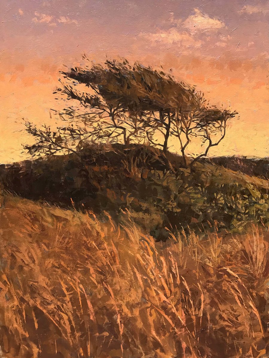 Windswept by Mark Bailey at LePrince Galleries