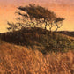 Windswept by Mark Bailey at LePrince Galleries