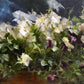 Flower Bed by Rosanne Cerbo at LePrince Galleries