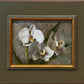 Orchid Transitions by Stacy Barter at LePrince Galleries