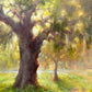 Majestic Oak by Stacy Barter at LePrince Galleries
