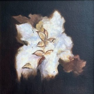 Cotton Oak by Vicki Robinson at LePrince Galleries